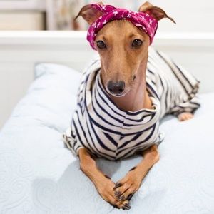 Meet your Posher, Carol